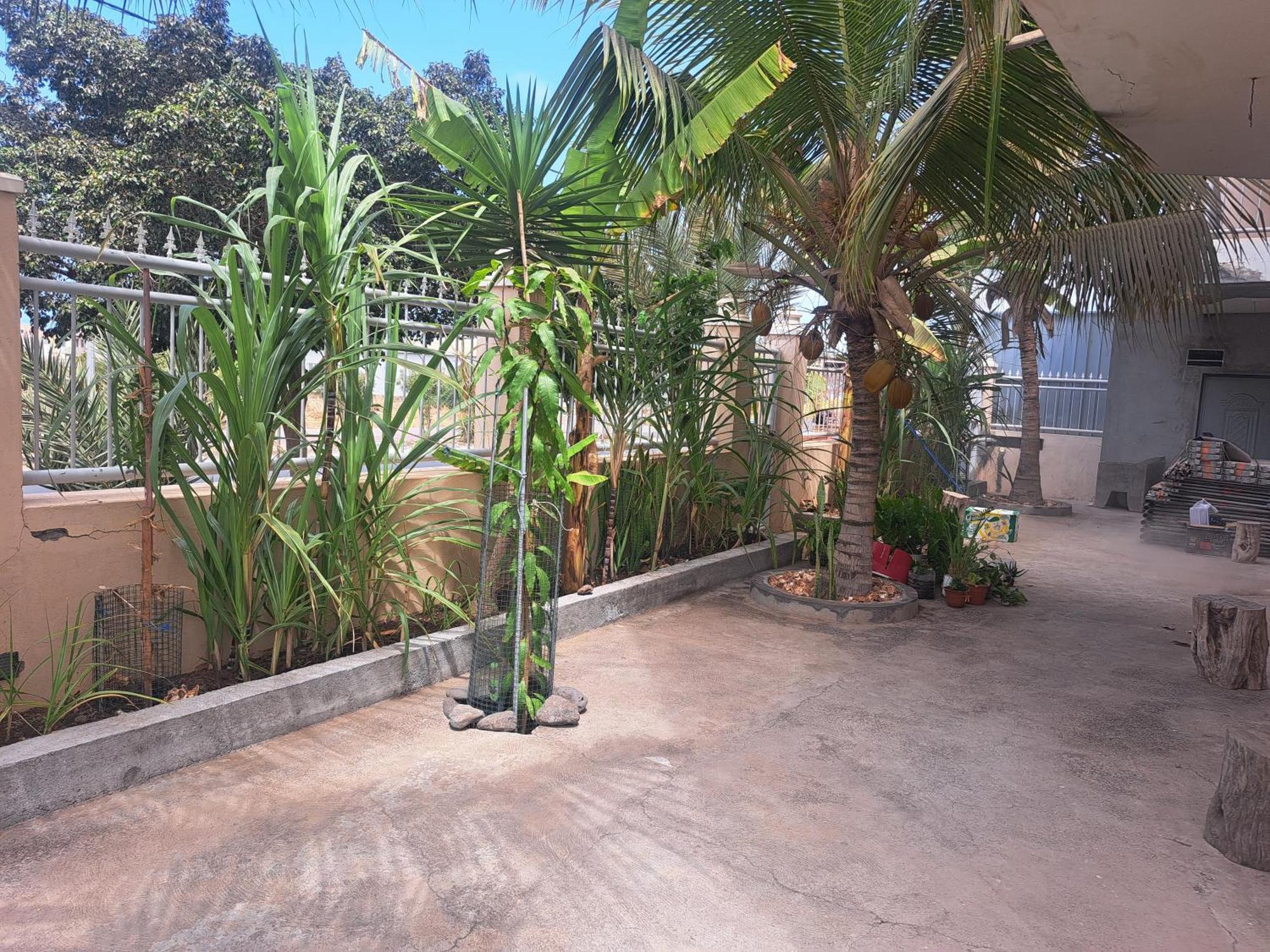 Barros Homestay Tarrafal  Exterior foto